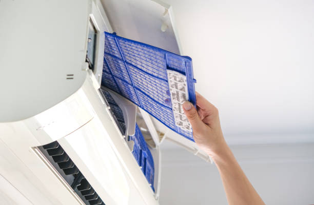 Best Dryer Vent Cleaning Services  in Anahuac, TX